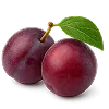 نهال آلو