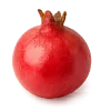 نهال انار