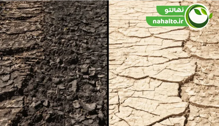 کمبود های خاک و نقش آن در ریزش گل درختان
