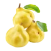 نهال به