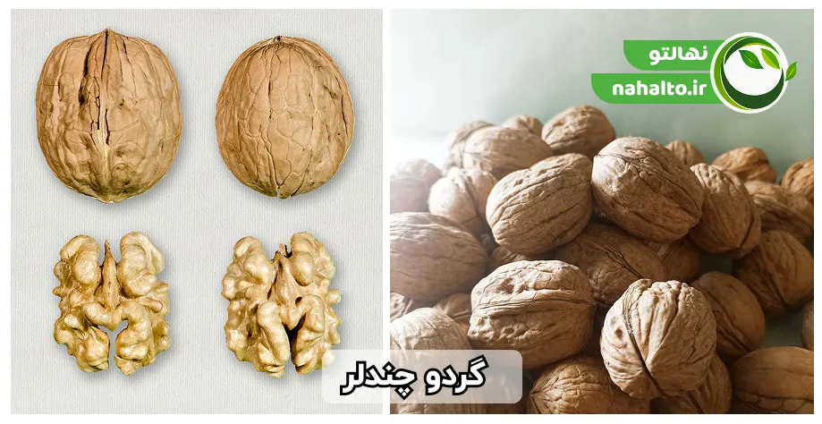 عکس مغز و پوست گردو چندلر