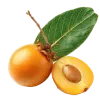 نهال ازگیل