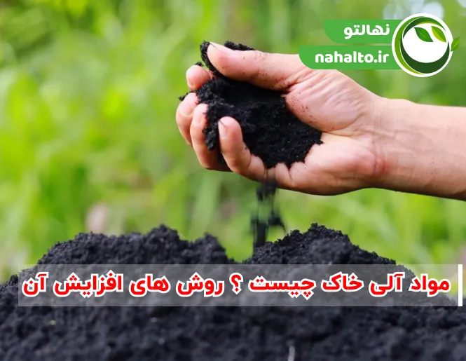 مواد آلی خاک چیست؟  10 راهکار برای افزایش سریع ماده آلی زمین