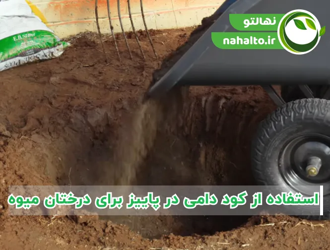 استفاده از کود دامی در پاییز