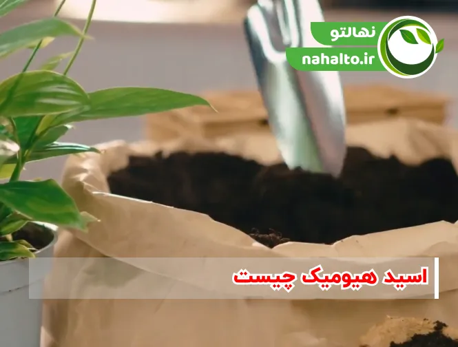 تاثیرات هیومیک اسید بر خاک
