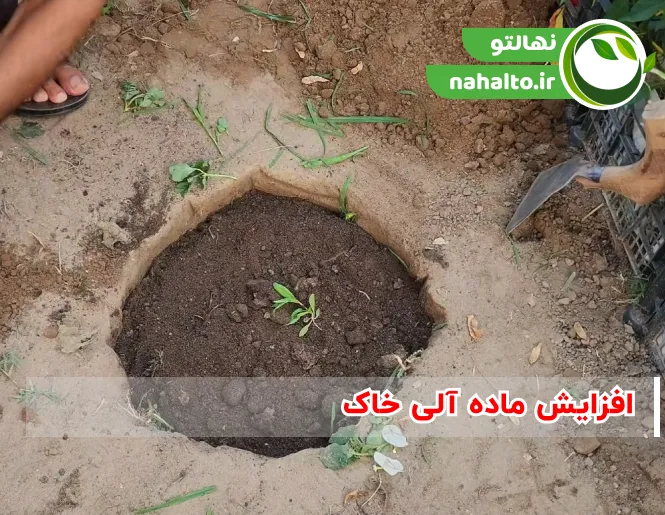 افزایش ماده آلی خاک