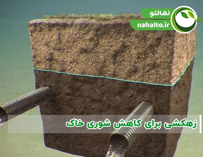 زهکشی برای کاهش شوری خاک