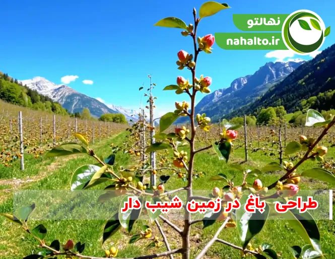 طراحی باغ در زمین شیب دار
