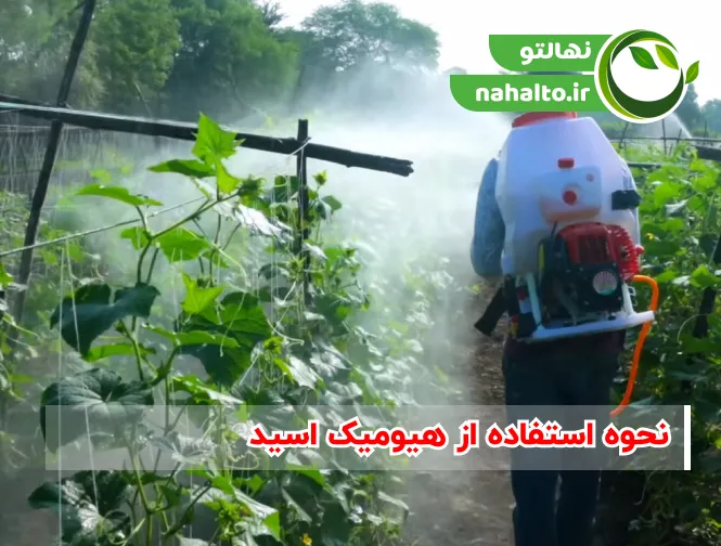 نحوه استفاده از هیومیک اسید