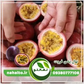 خرید نهال پشن فروت