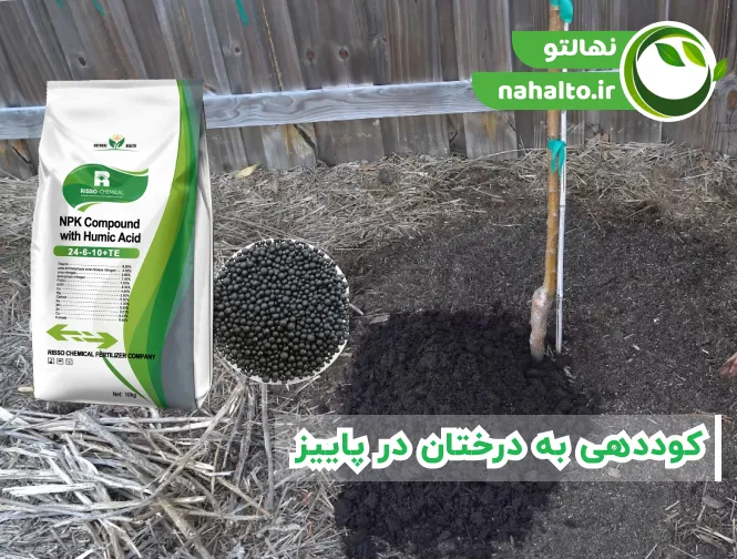 راهنمای کامل کوددهی پاییزه درختان بر اساس نوع و سن درخت